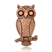 Owl Pin