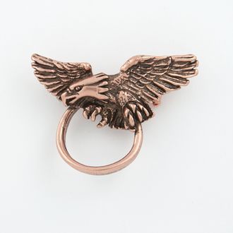 Eagle Eyeglass Pin