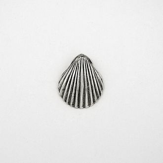 Sea Shell