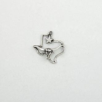 Star and Longhorn and Texas State Map