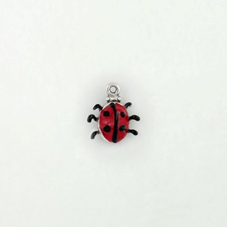 Ladybug with Paint