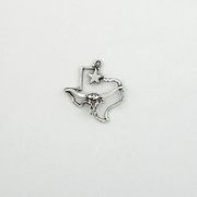 Star and Longhorn and Texas State Map