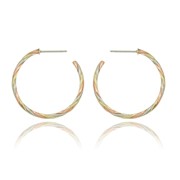 Twist Round Hoop Ear