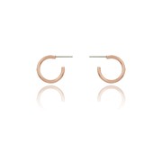 Wire Small Hoop Ear