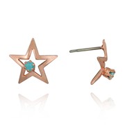 Star and Rhinestone Post Ear