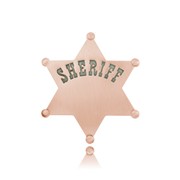 Sheriff Badge