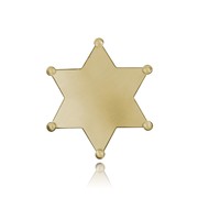 Star Badge Plain