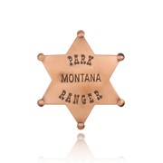 Copper Finish Park Ranger Badge