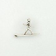 Surfer Girl