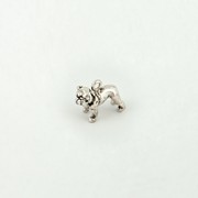 Bulldog