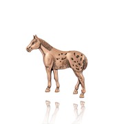 Appaloosa Pin