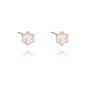 Swarovski Crystal Post Earrings