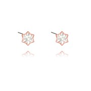 Swarovski Crystal Post Earrings