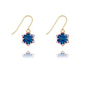 Swarovski Crystal Earrings