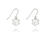 Swarovski Crystal Earrings